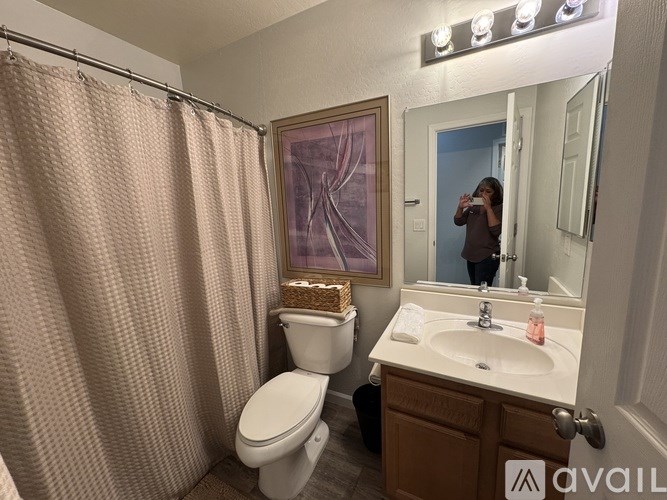A bathroom with a toilet, sink, and shower curtain.
