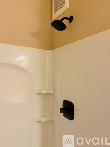 A white bathroom with a black shower head.