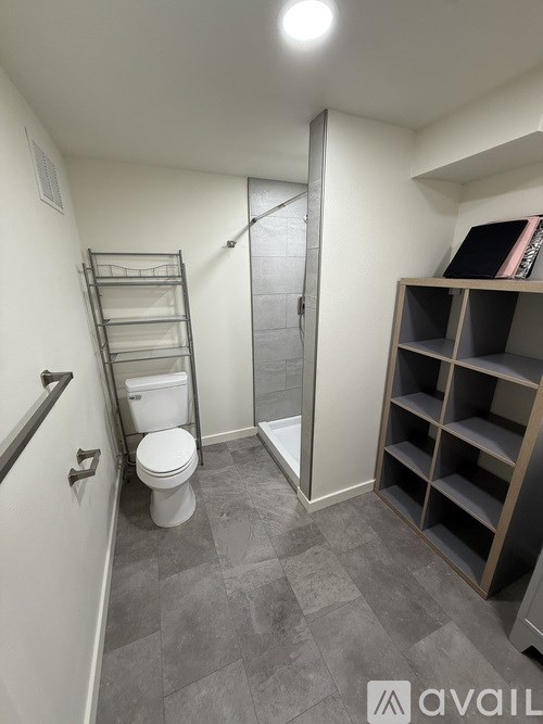 A bathroom with a toilet, a walk-in shower, and a shelf.
