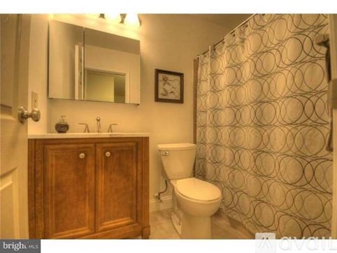 A bathroom with a toilet, a wooden cabinet, and a shower curtain.