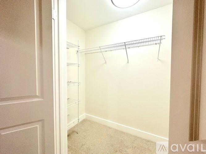 A small, empty closet with a carpeted floor and a white door.