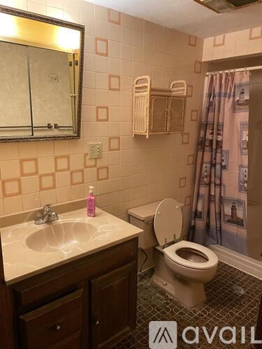 A bathroom with a toilet, sink, and mirror.