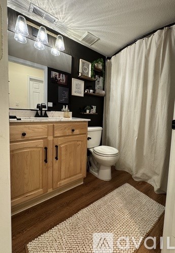 A bathroom with a toilet, sink, and shower curtain.