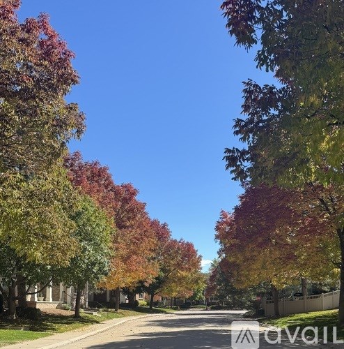 A tree-lined street with autumn leaves.