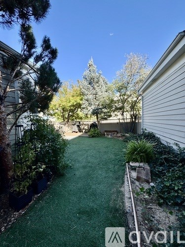 A backyard with a green lawn and a white fence.