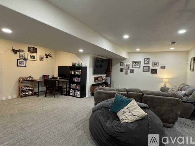 A living room with a grey couch and a bookshelf.