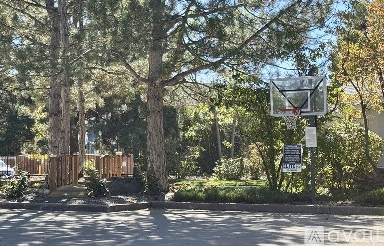 A basketball hoop is mounted on a pole in a park.