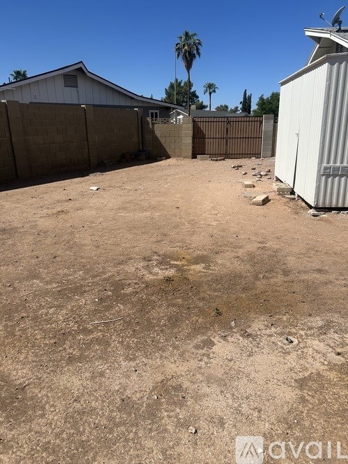 A backyard with a fence, a shed, and a palm tree.