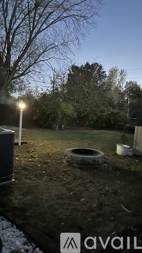 A backyard with a light pole and a tree.