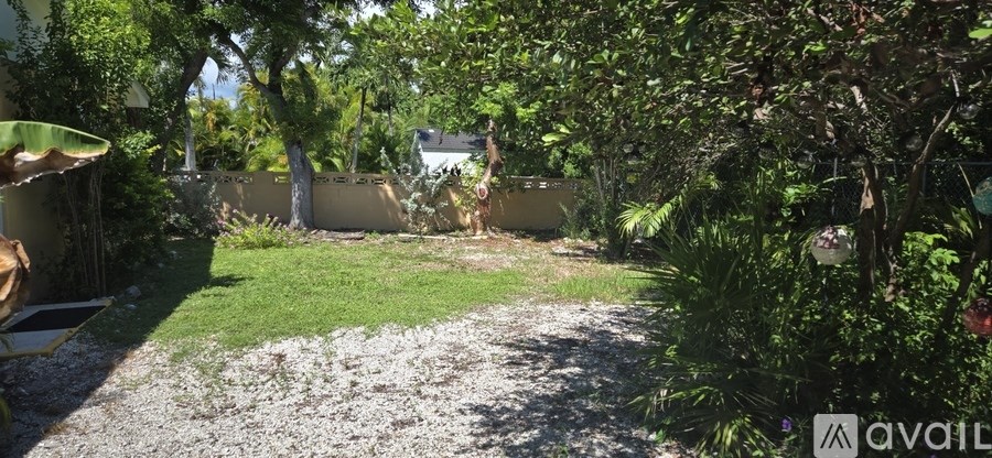 A backyard with a gravel path and a tree.