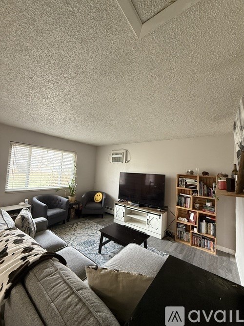 A living room with a grey couch and a television.