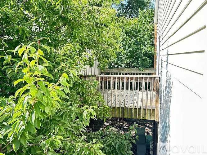 A tree branch is in the foreground of a building.