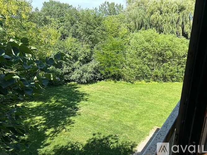 A lush green lawn with trees in the background.