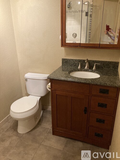 A bathroom with a white toilet and a brown cabinet.