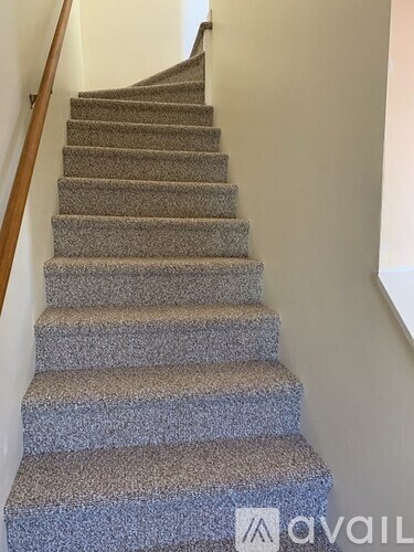 A staircase with a carpeted runner and wooden handrail.