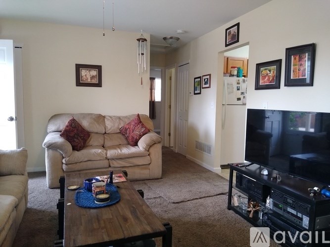 A living room with a couch, a coffee table, and a television.