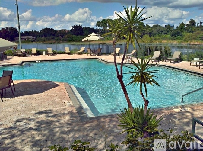 A pool surrounded by chairs and a tree.