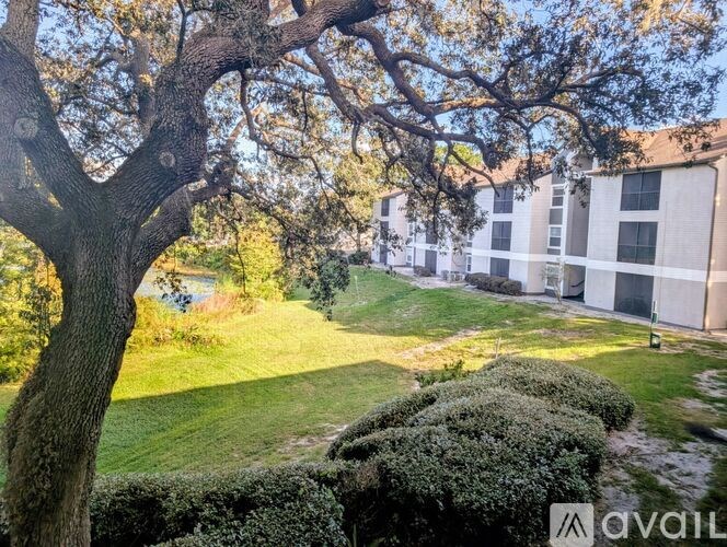 A tree in the foreground with a building in the background.