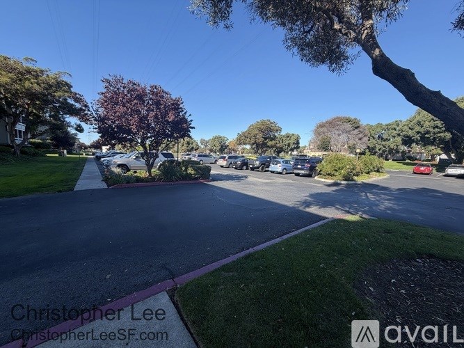 A street view with cars parked on the side and a tree in the foreground.