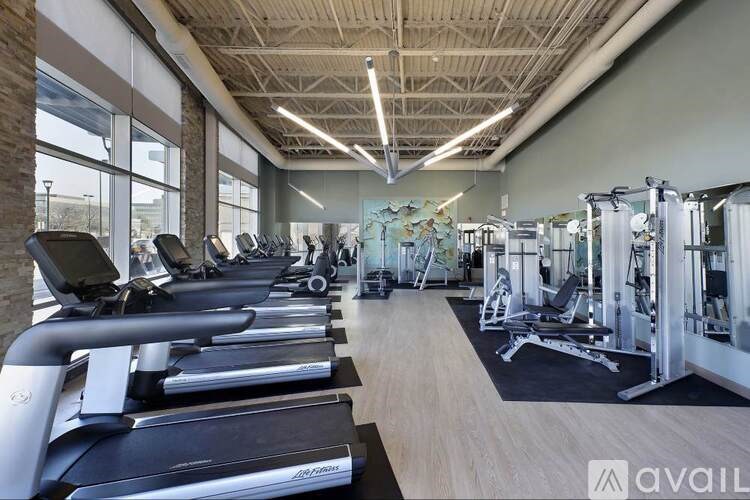 A gym with treadmills and weights is available for use.