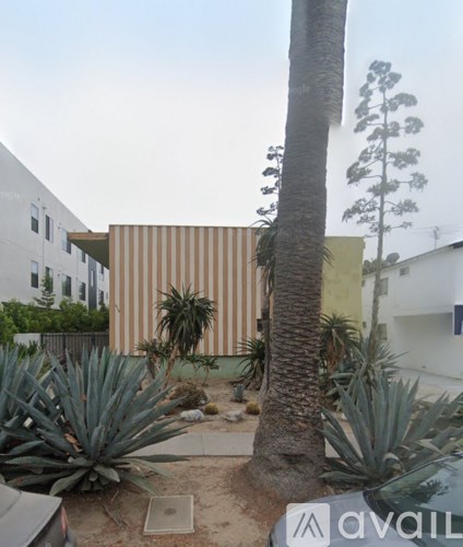 A palm tree stands in front of a striped building.