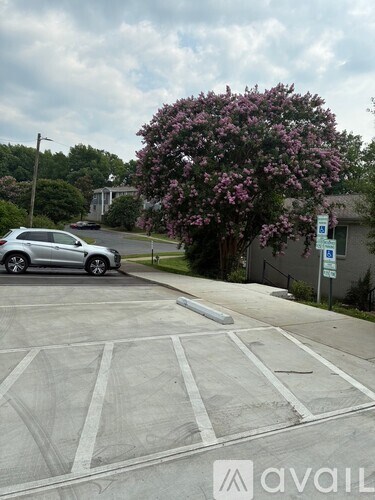 A car is parked in a parking lot with a tree with purple flowers in the background.