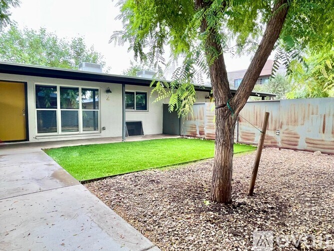 A tree in a yard in front of a house.