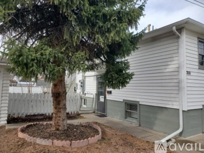 A tree in a mulched circle in front of a house.