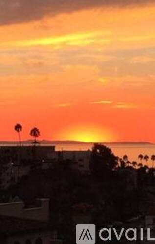 A sunset view with palm trees silhouetted against the sky.