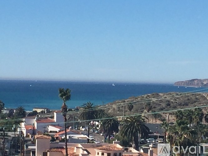 A coastal town with buildings and palm trees.