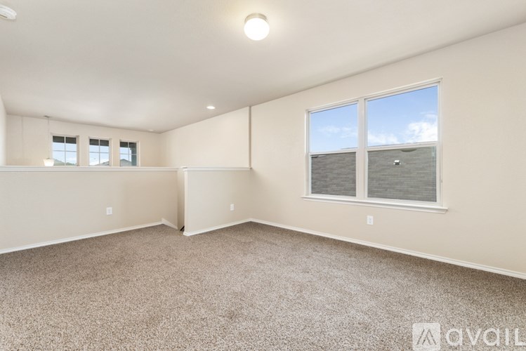 A spacious room with carpeted floor and large windows.