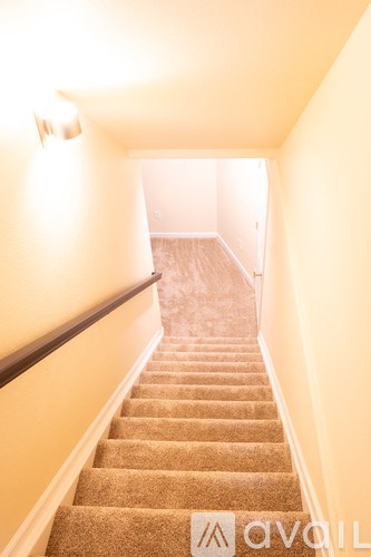 A staircase with a carpeted runner and a wall light.