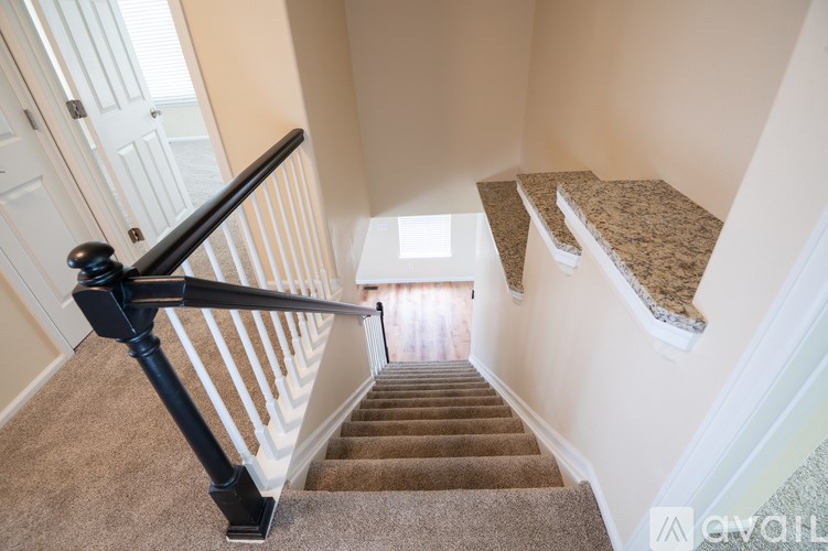 A staircase with a black handrail and beige carpeting.
