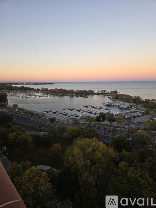 A marina with boats docked in the water and trees in the foreground.