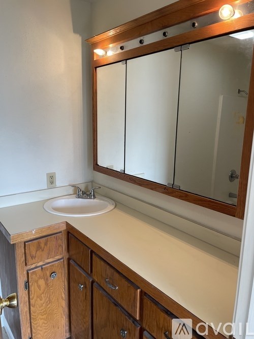 A bathroom with a sink, mirror and wooden cabinets.