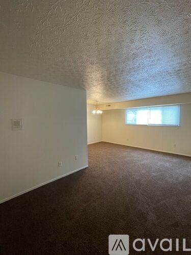 A room with a window and a carpeted floor.