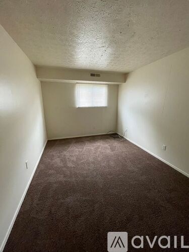 A room with a carpeted floor and a window.