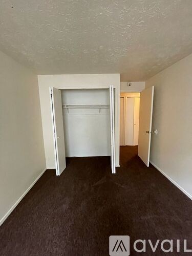 A room with a carpeted floor and a closet with a white door.
