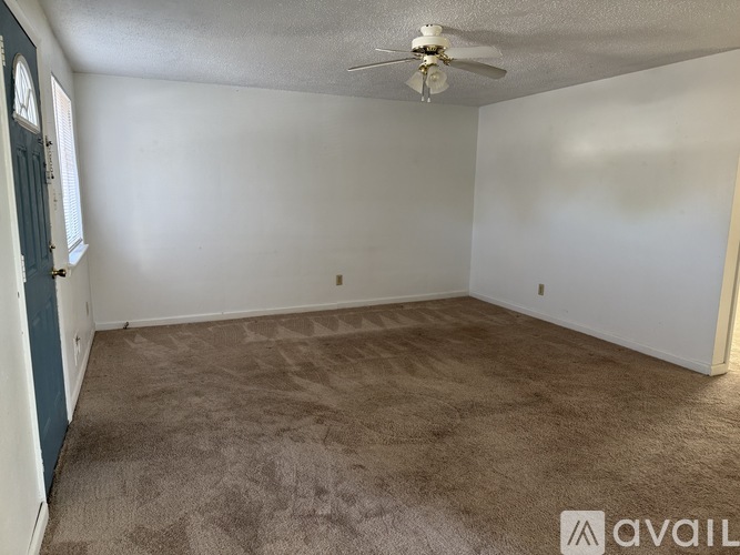 A room with a carpeted floor and a ceiling fan.