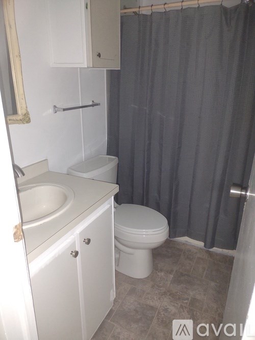 A bathroom with a toilet, sink, and shower curtain.