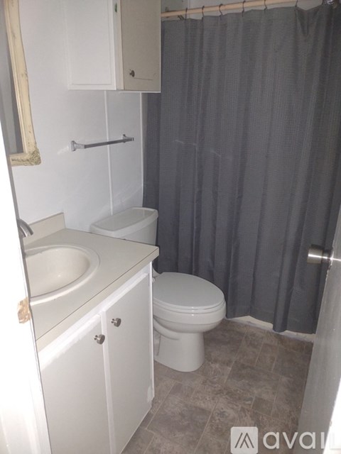 A bathroom with a toilet, sink, and shower curtain.