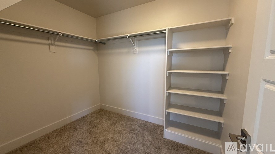 A room with a carpeted floor and a wall-mounted shelf.