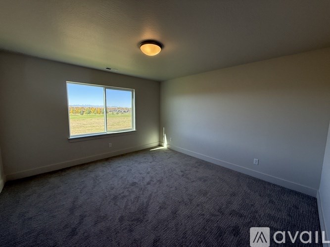 A room with a carpeted floor, a window, and a ceiling light.