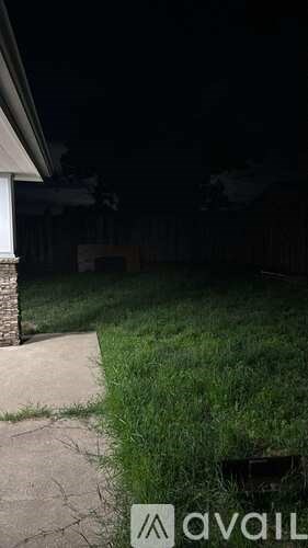 A dark backyard with a grassy area and a concrete path.