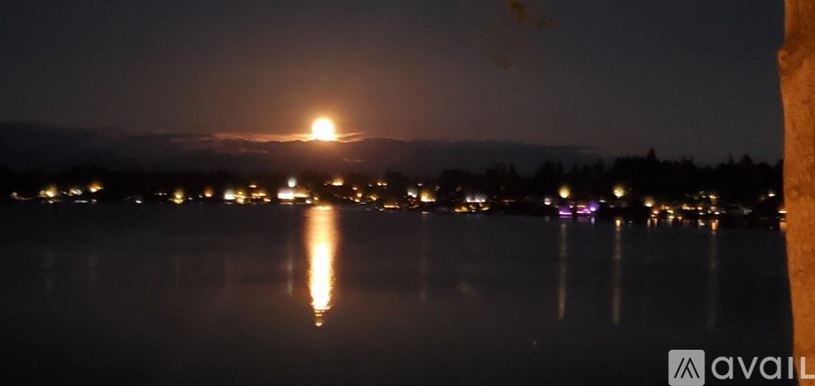 A serene night scene with a full moon rising over a calm body of water, reflecting the moonlight.