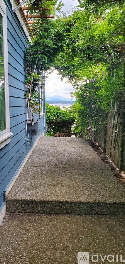 A narrow pathway leads through a lush green garden.