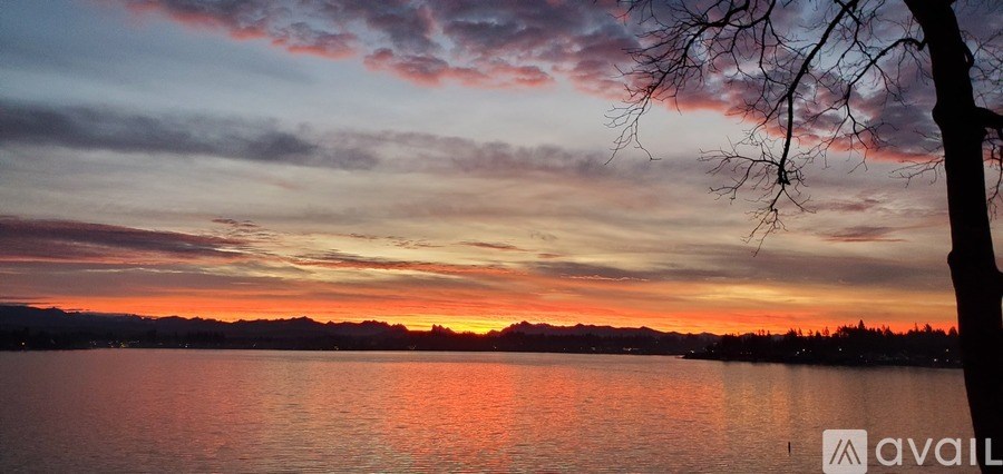 A tree branch is in the foreground of a sunset over a body of water.