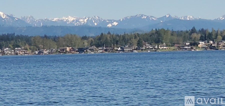 A body of water with a town and snowy mountains in the background.