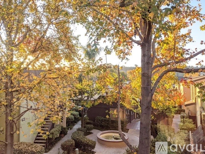 A tree with yellow leaves is in the foreground of a sunny courtyard.