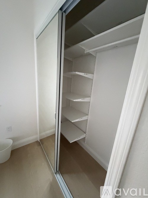 A white pantry with a white door and shelves.